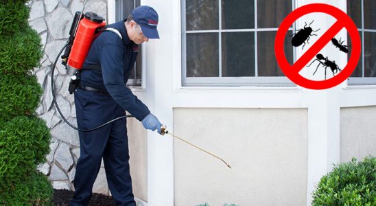 Sakarya Kene İlaçlama böcek ilaçlama ve haşere kontrolü — ilaclama-tr.com